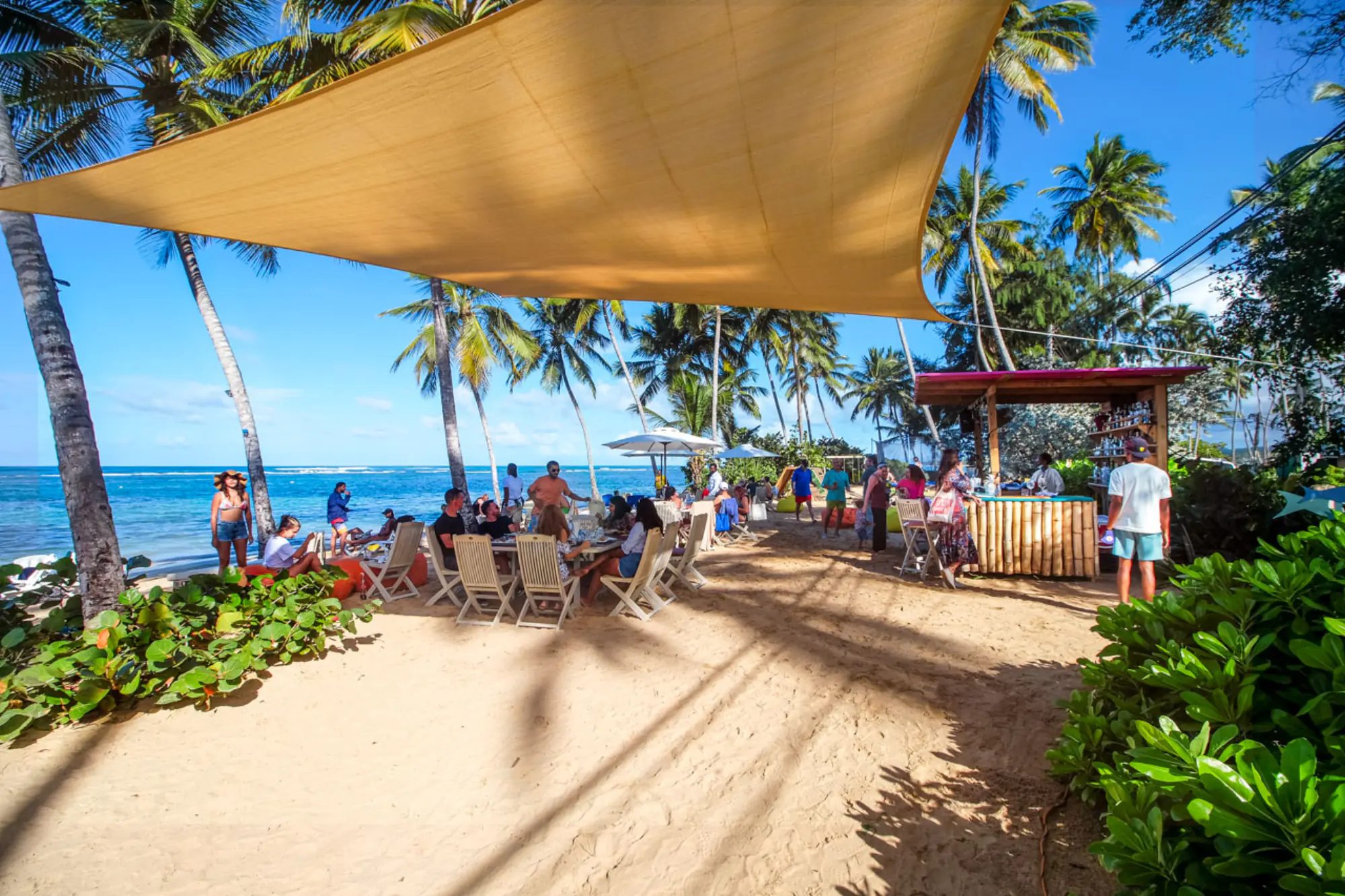 Beach bar and seaside cocktails