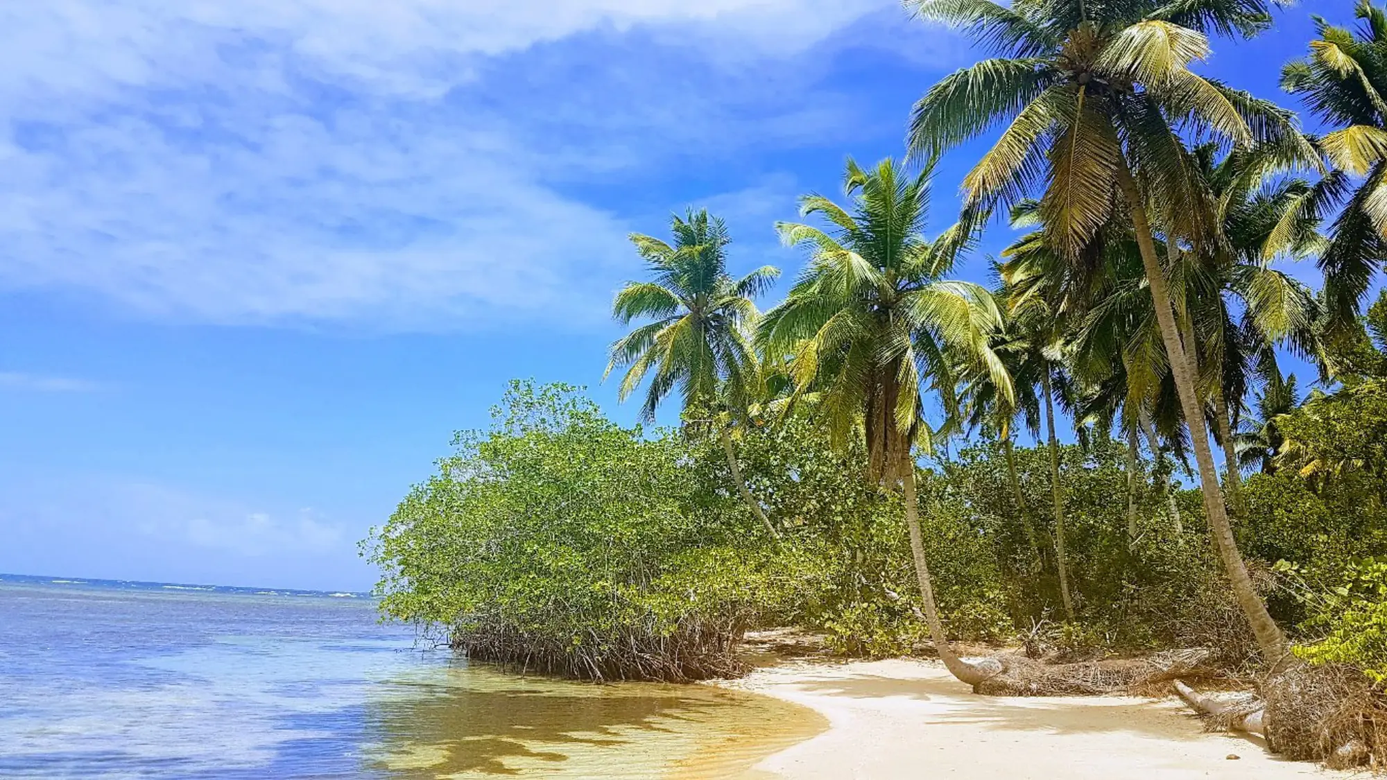Playa Portillo in Samaná