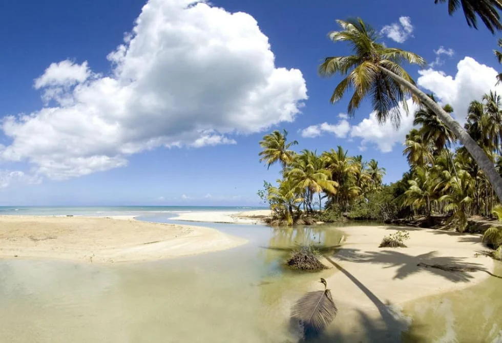 Playa Cosón View 2