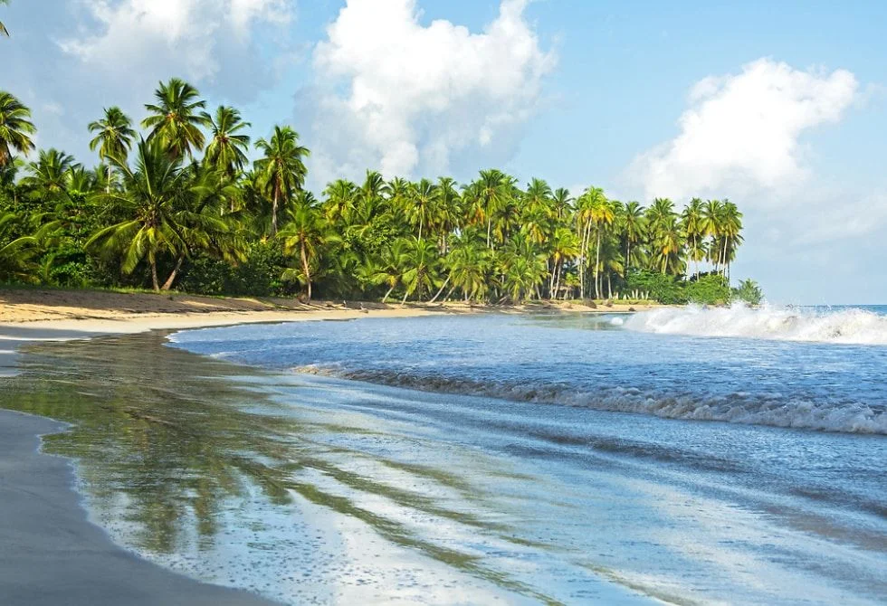 Playa Cosón palms and turquoise waters