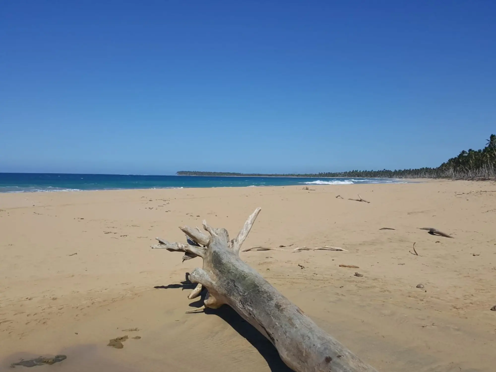 Playa El Limón View 2