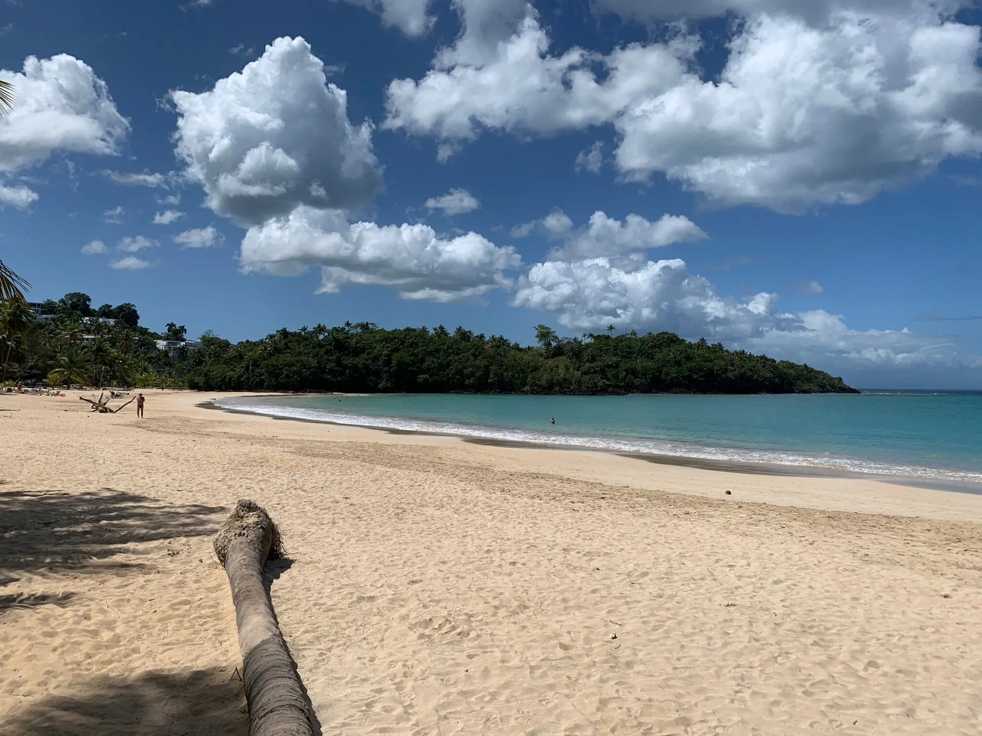 Playa Las Ballenas directly in front of Hotel Alisei