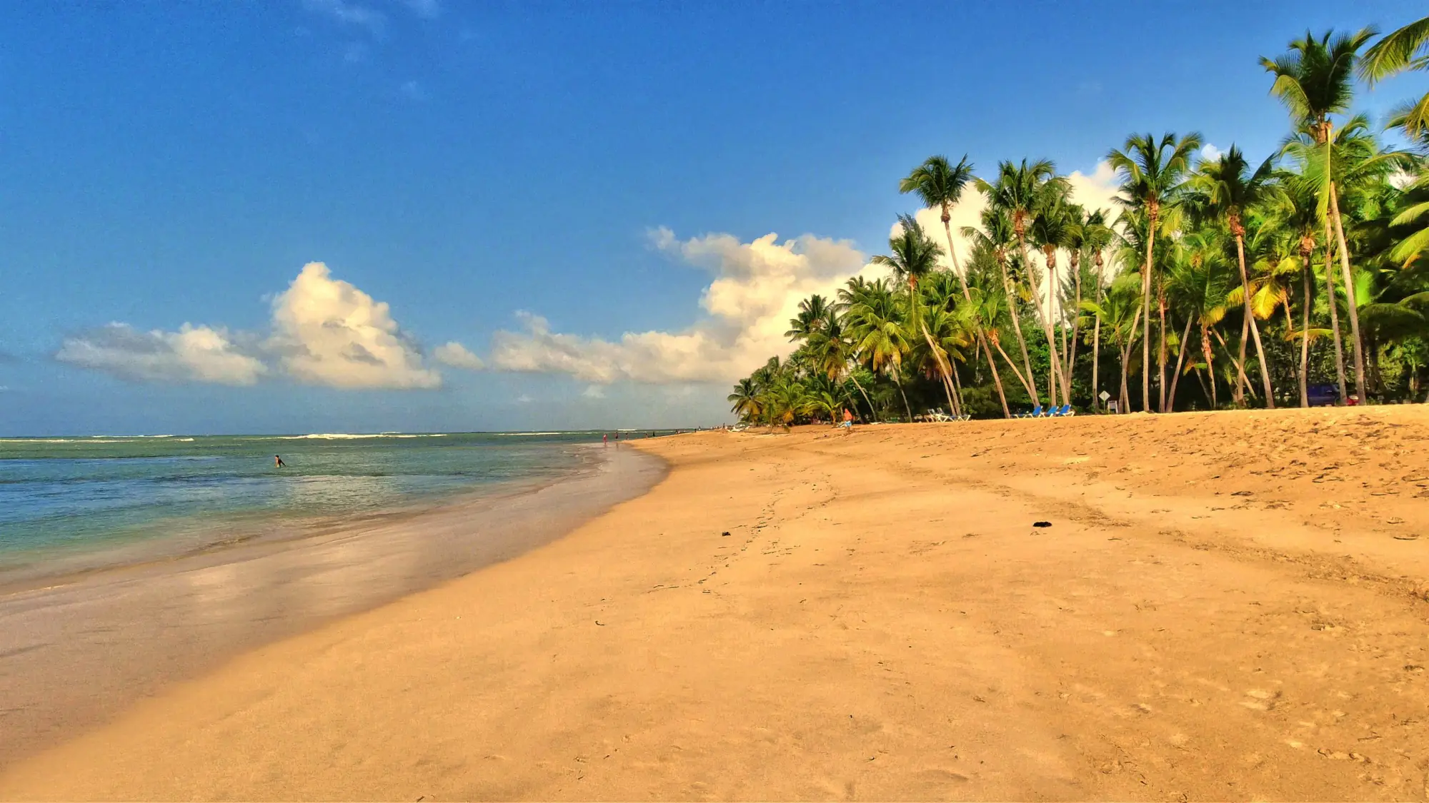 Playa Las Ballenas View 2