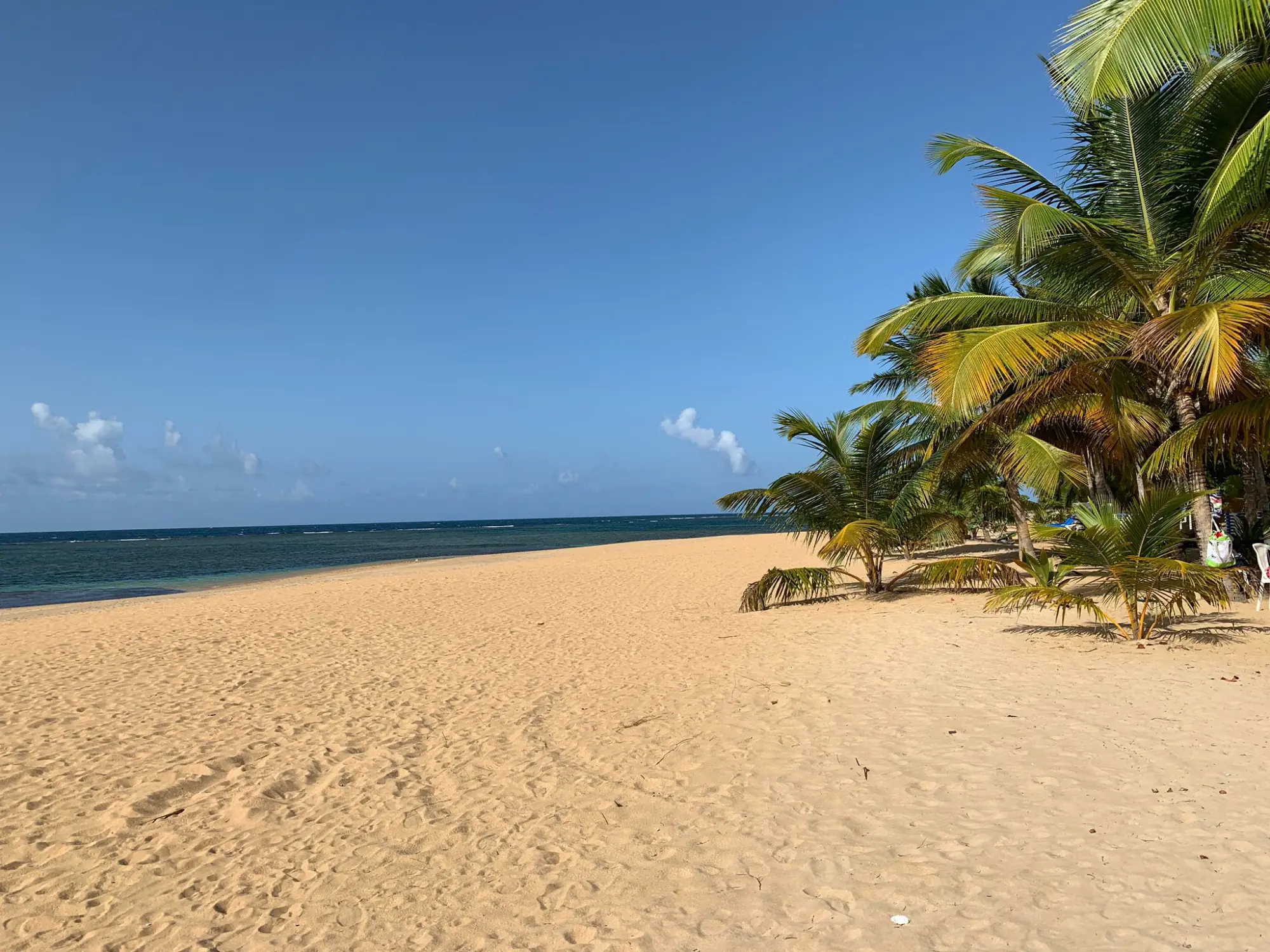 Playa Las Ballenas View 3