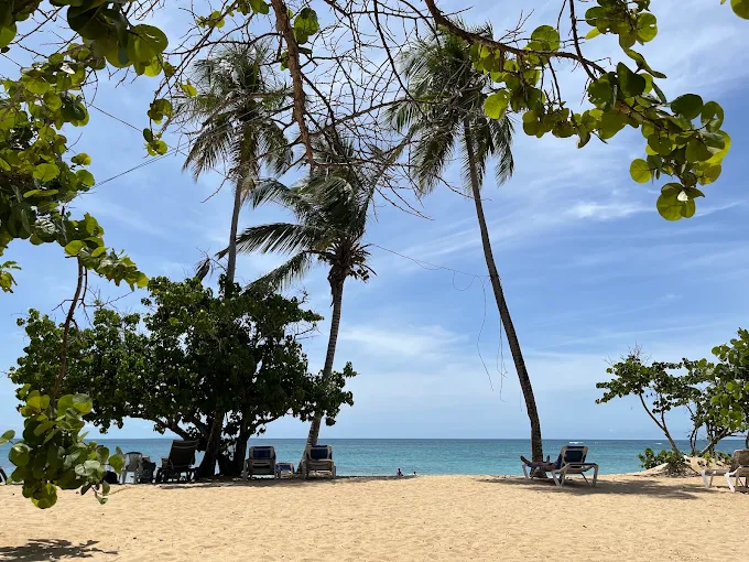 Playa Punta Popy in Las Terrenas